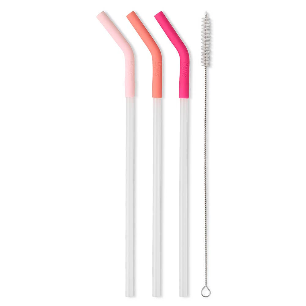 Blush/Coral/Pink Reusable Straw Set (Mega Mugs)