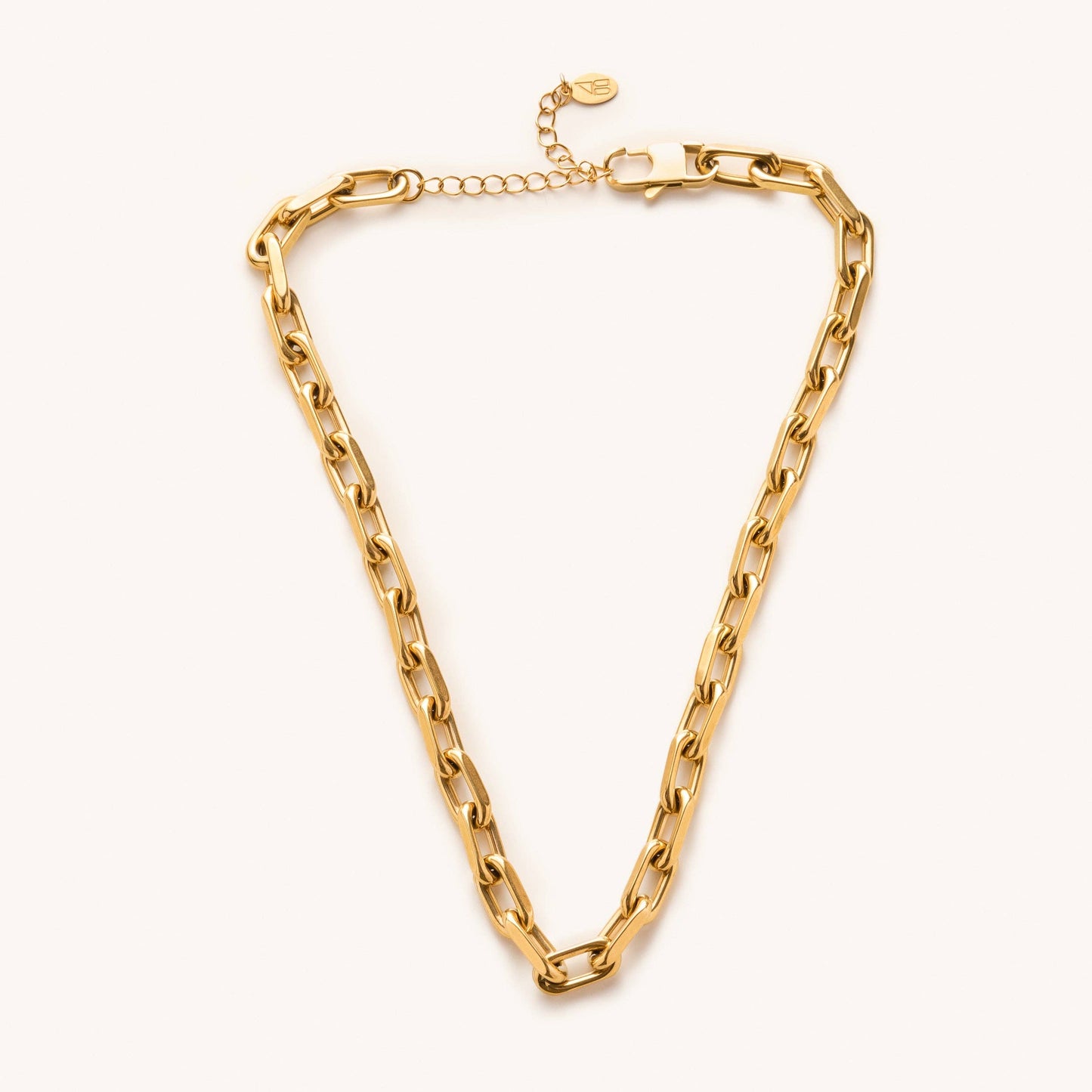 Dani Chunky Link Choker