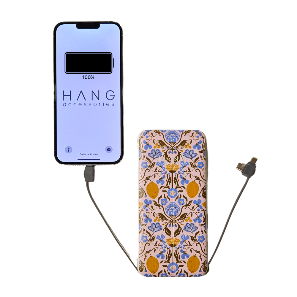 Portable Phone Charging Banks