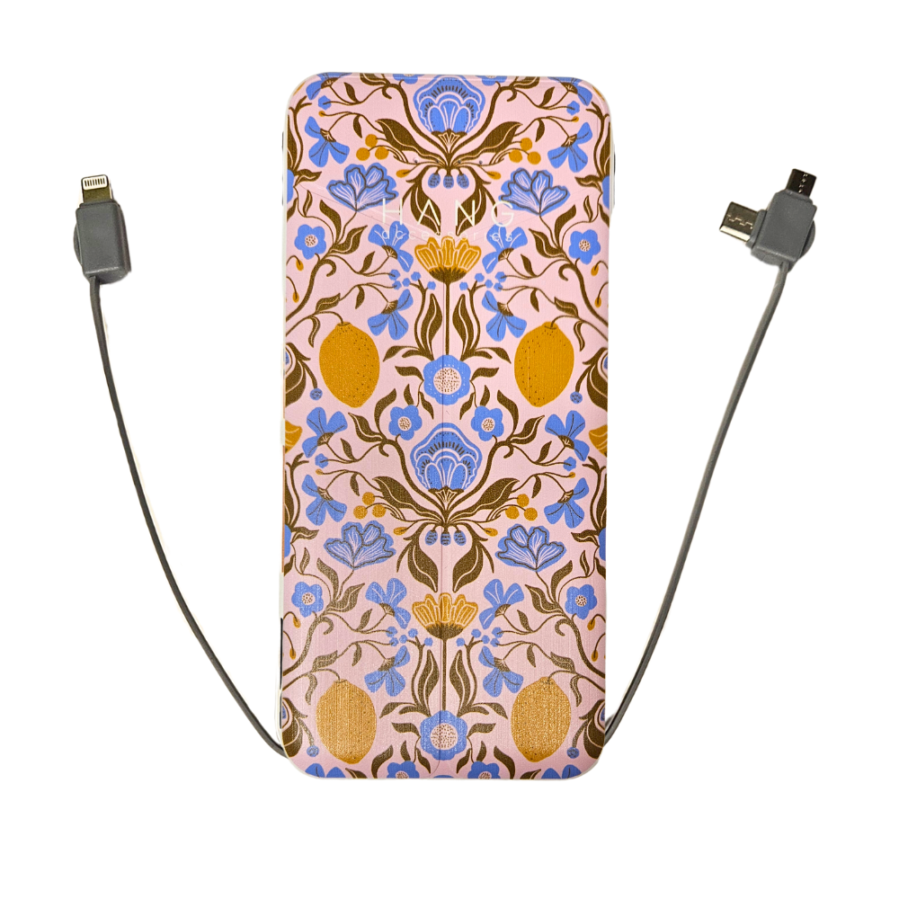 Portable Phone Charging Banks